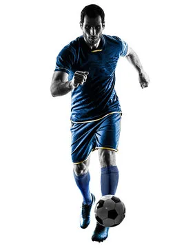 米乐体育 主要标志